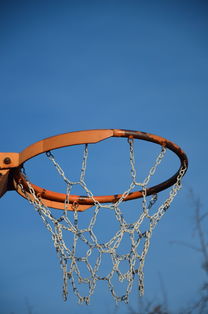 星空体育官网-NBA球队球员培养规划设计，nba对球员的要求是什么